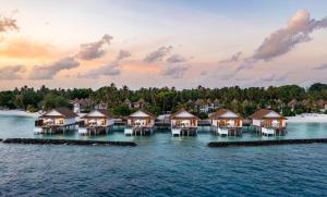 Bandos Maldives, photograph 7.
