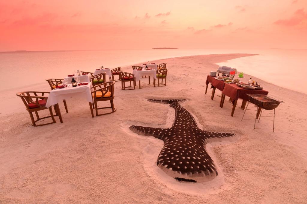Dhigufaru Island Resort, photograph 7.