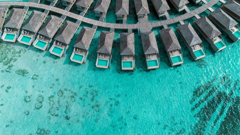 Jawakara Islands Maldives, photograph 1.