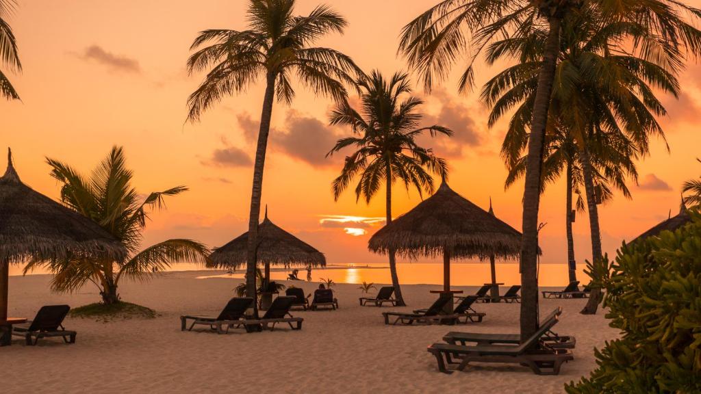 Kuredu Island Resort & Spa, photograph 5.