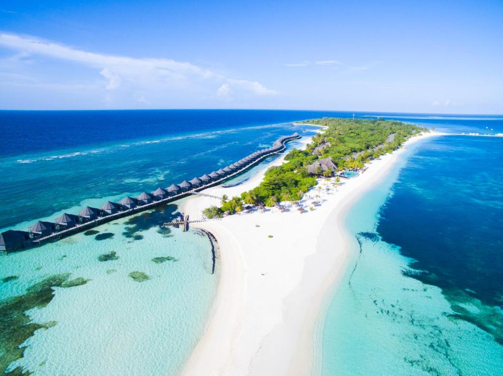 Kuredu Island Resort & Spa, photograph 6.